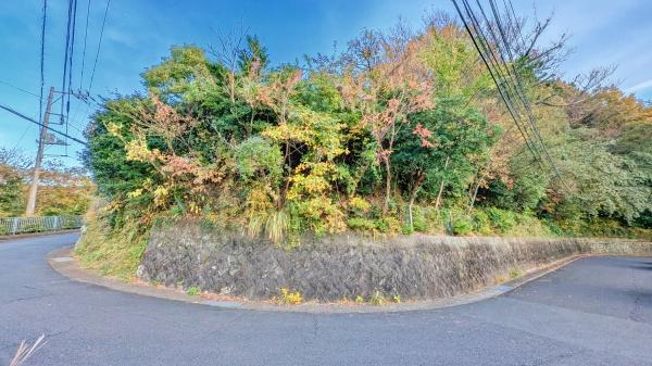 熱海市網代の売地の前面道路含む現地写真|落ち着いた住環境