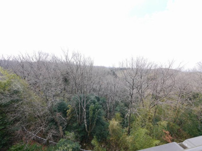 【展望】 | 鈴蘭泉台第一住宅3号棟