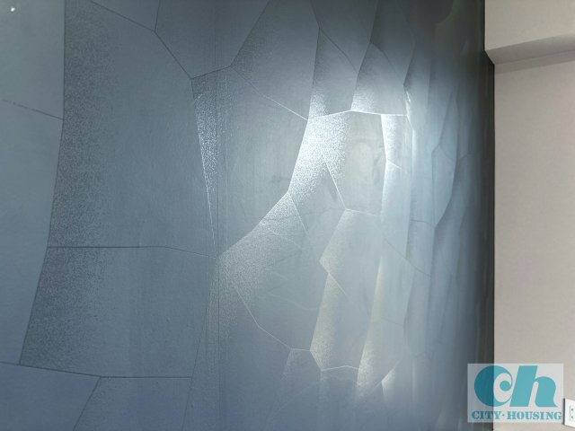 クレアール多摩川 401号室の内装