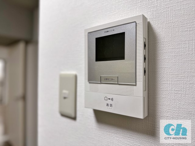 アベニュー瑞穂 101号室のセキュリティ