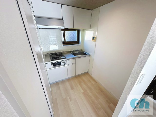 リッツ山王テラス 201号室のキッチン