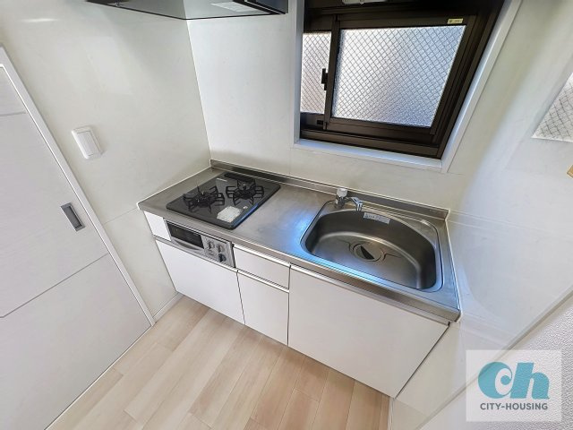 リッツ山王テラス 201号室のキッチン