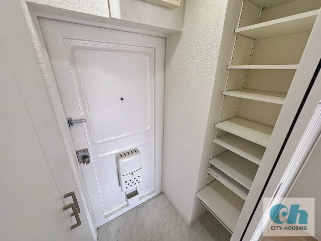 リッツ山王テラス 302号室の玄関