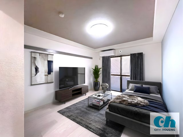 丸井ビルディング 205号室の居間・リビング