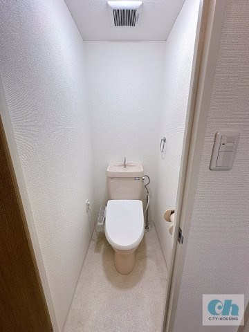 リヴェール多摩川 502号室のトイレ