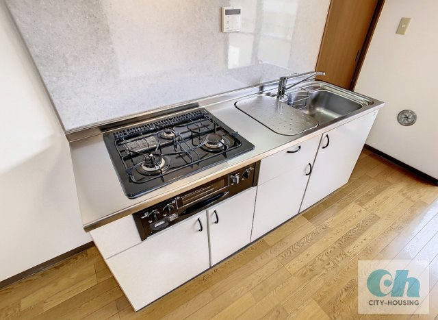 カーサベルデ 301号室の浴室