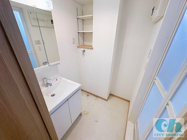 フルール大森 303号室の洗面所