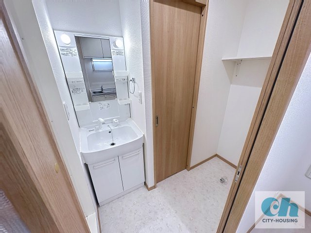 エスポワール大森 203号室の洗面所
