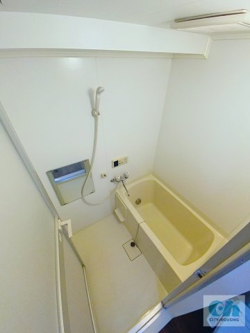 ラ・パラッツォ 102号室の浴室