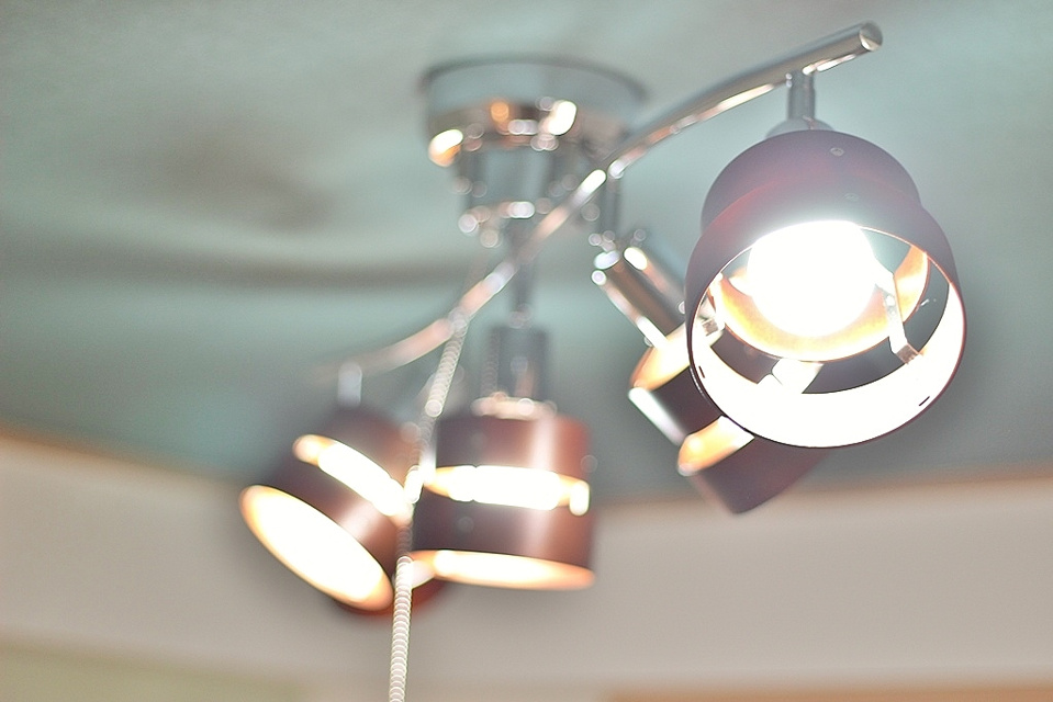 カーサ青木 101号室