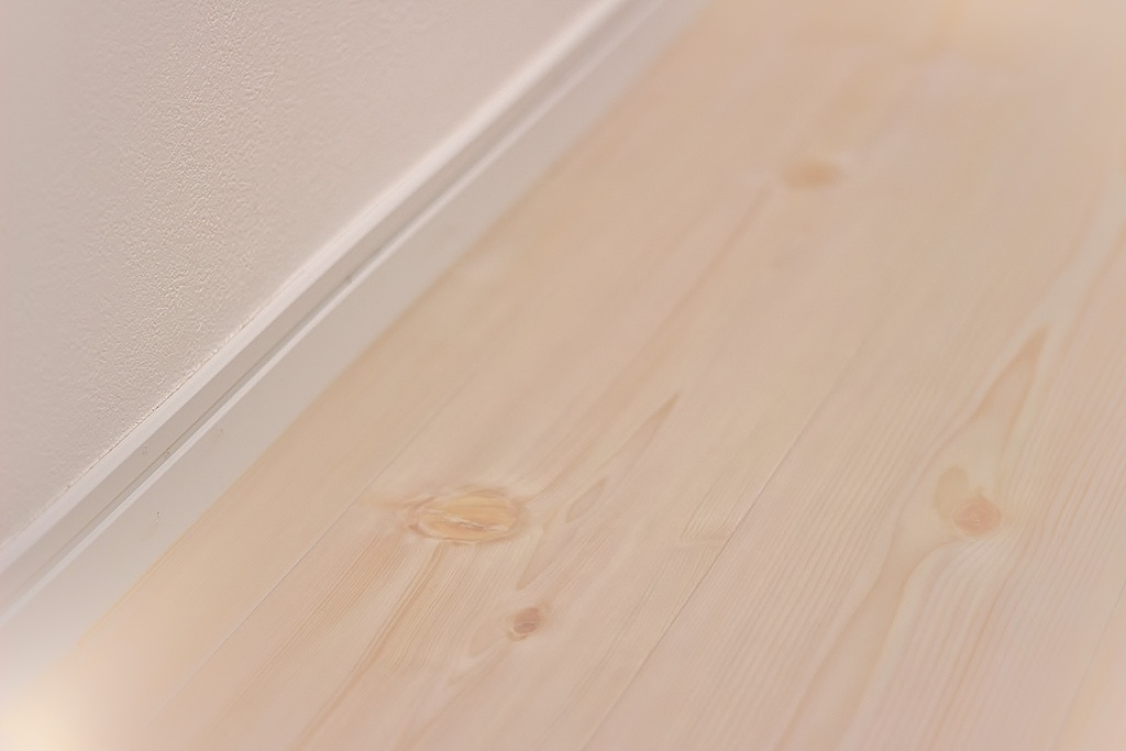 ドミールシバタ 102号室