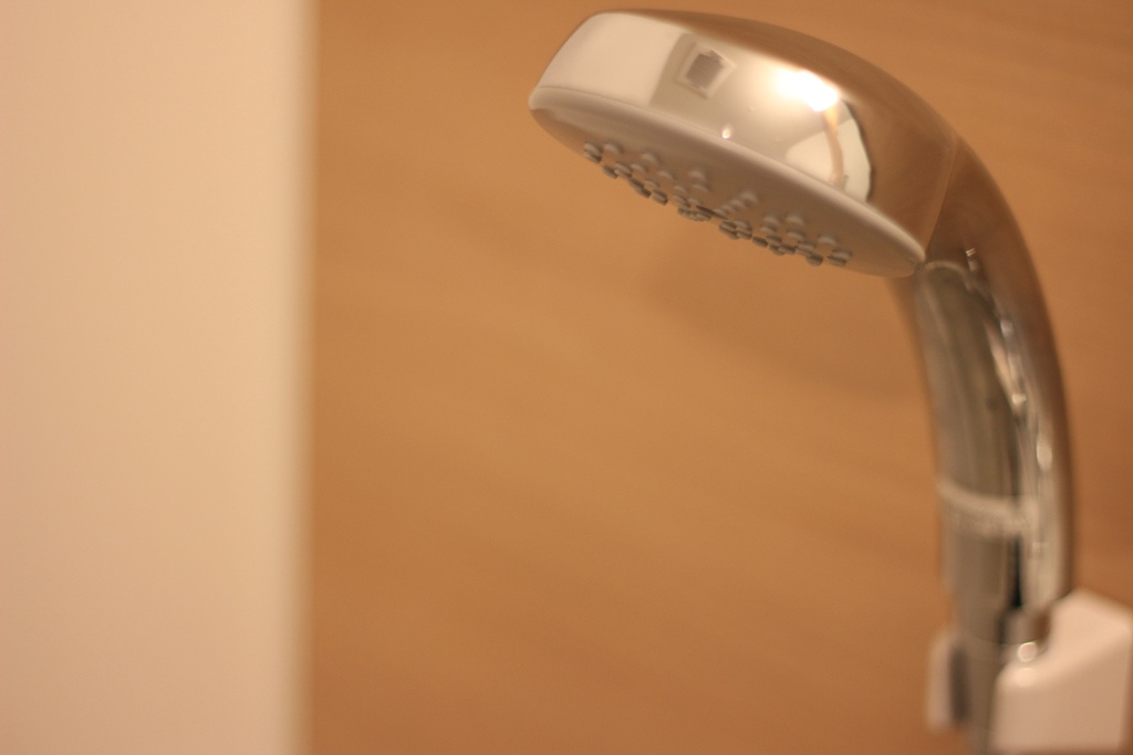 アネックス袖野 402号室