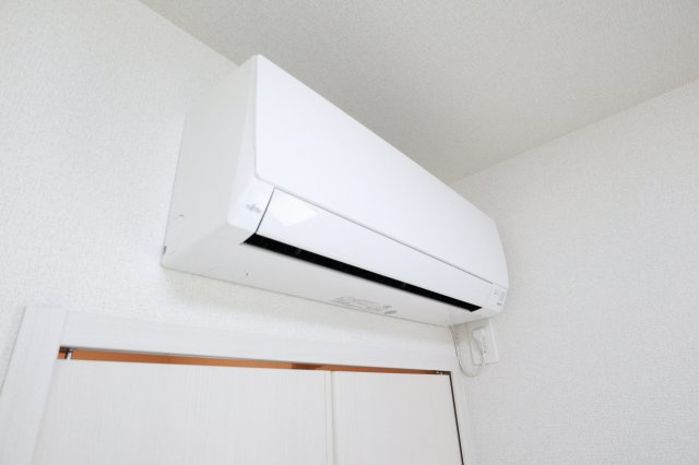 オリーブの設備