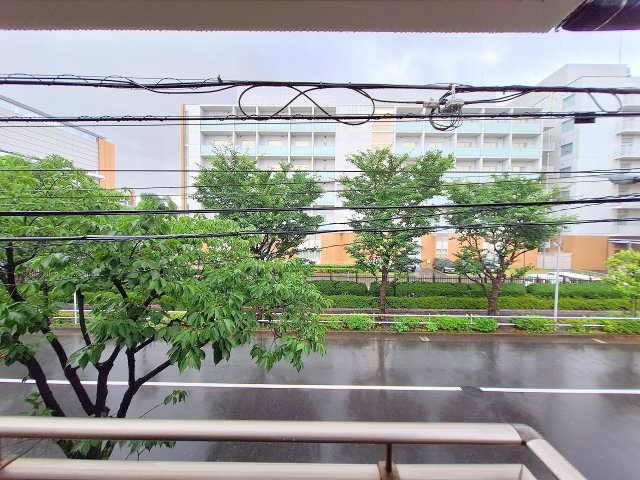 ローズビルの展望