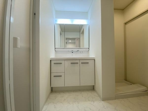 【独立洗面台】 | 研究学園5団地523号棟