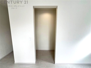 衣類やアクセサリー、小物類の収納が便利で整理整頓がしやすく、部屋の美観を保ちつつ、スペースを最大限に活用できます。衣服のしわやダメージを防ぎ、長持ちさせることができます。