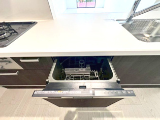 手洗いに比べて時間や労力を節約できることです。また、高温のお湯で洗浄されるため、雑菌や細菌を殺菌する効果もあります。さらに、乾燥機能があるため、手で拭く手間も省け衛生的に保管できます。