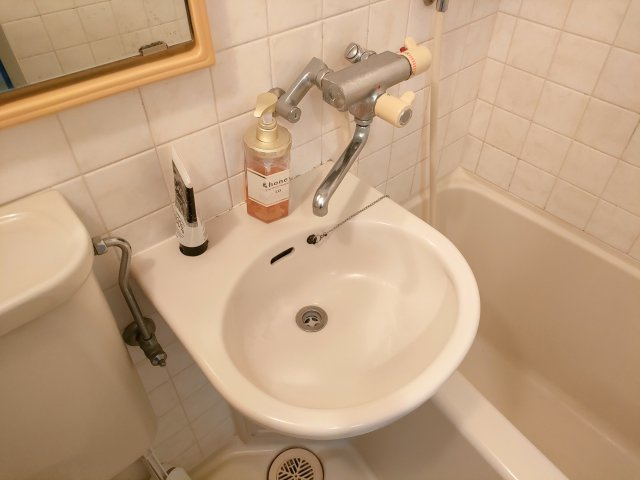 藤和シティコーポ新小岩Ⅱの洗面所