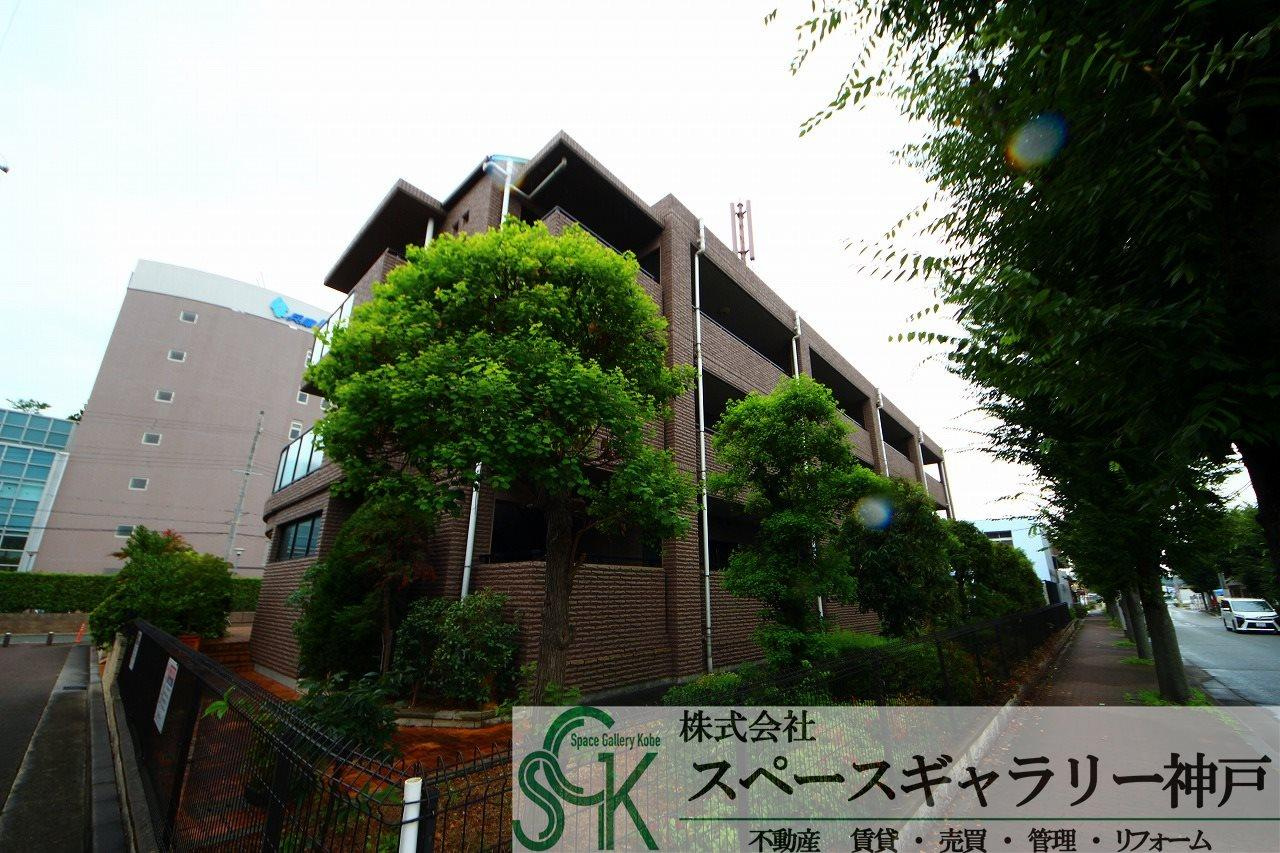 ハイデルベルクの外観