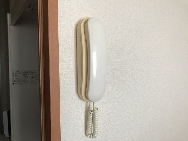 レオパレスエリカのその他