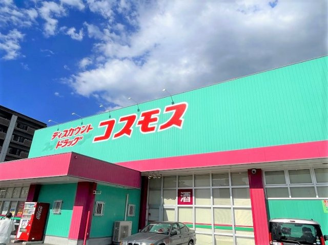 レオネクストコリス　オットの周辺