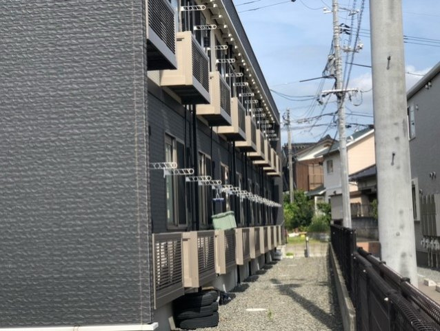 レオネクストリチェズのその他