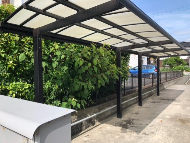 レオネクストリチェズのその他