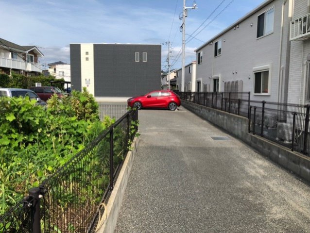 レオネクストリチェズのその他