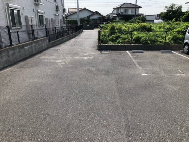 レオネクストリチェズのその他