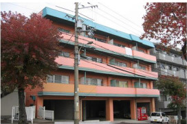 オレンジHILL・T