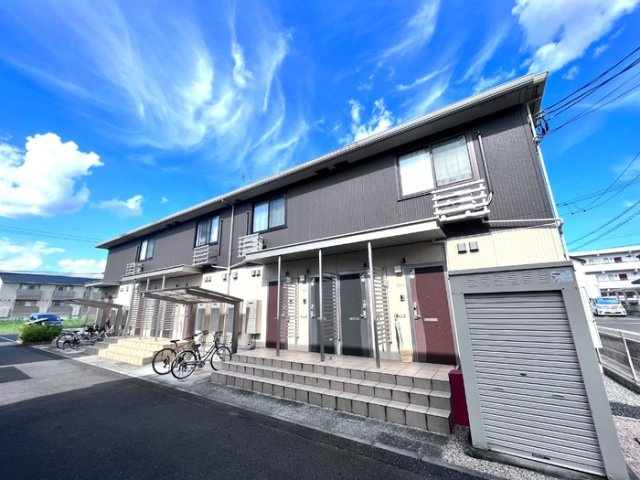 ワイロードの画像