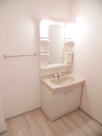 グランディール福田の洗面所