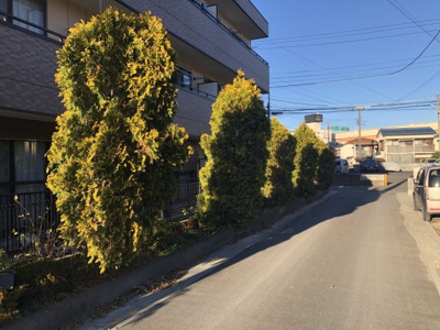 【周辺】 | ブルーローズ