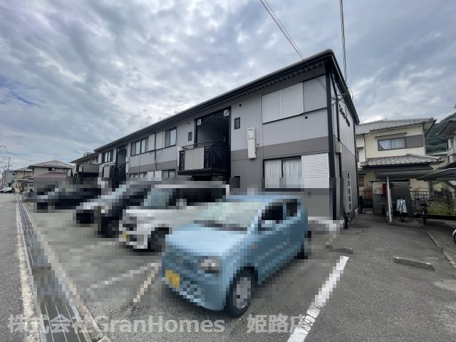 サンライフサルビア