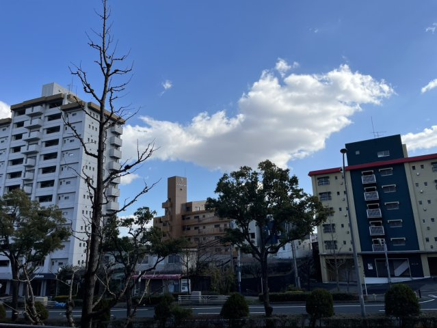 ソミュール桜ケ丘A棟/名古屋市の賃貸ならMy賃貸の展望|ソミュール桜が丘