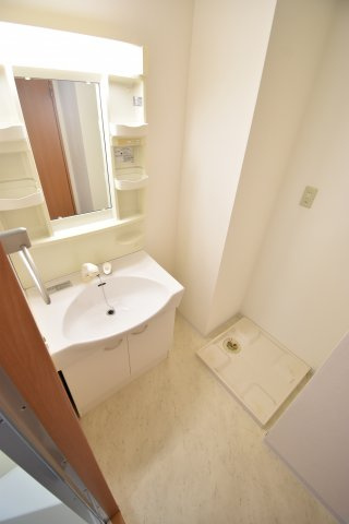 グランパシフィック大正の洗面所