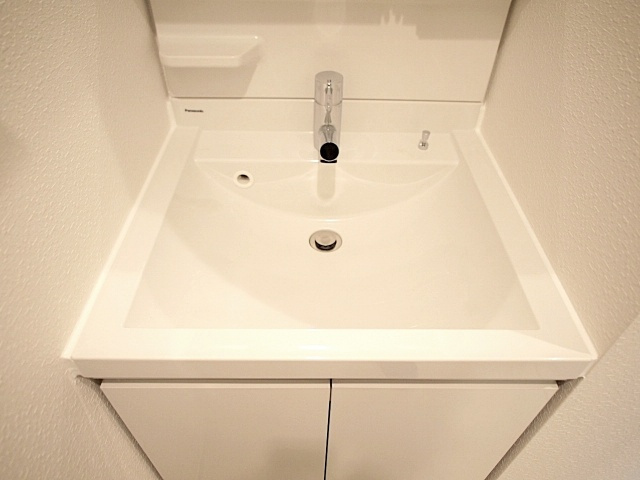 スプランディッド難波Ⅰの独立洗面台