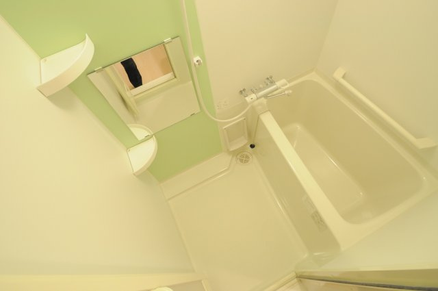 レオネクストローズのその他