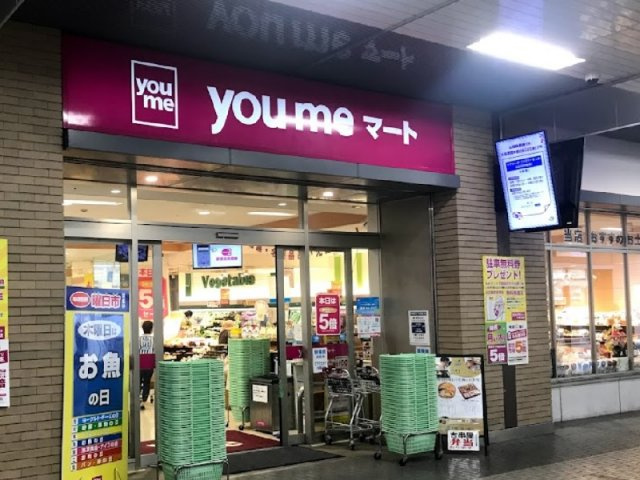 レオネクストサンフラワー上新地の周辺