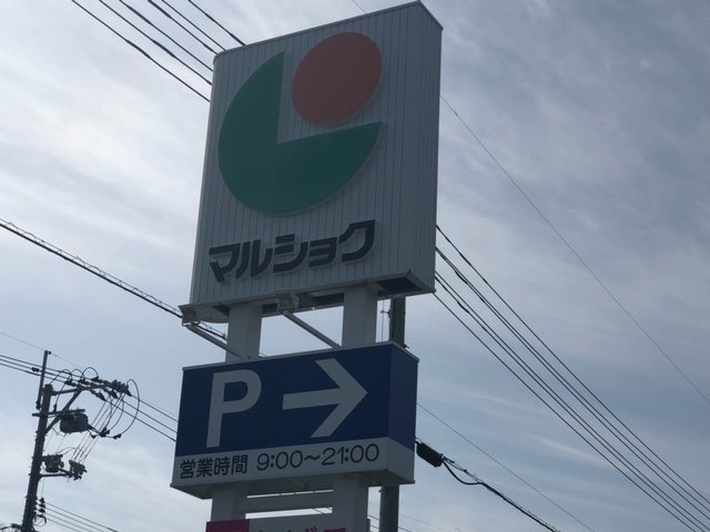 レオネクストアダージョの周辺