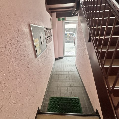 ケントヘイマのその他