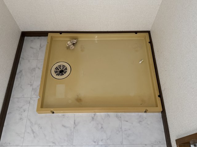 ヴェルディールのその他