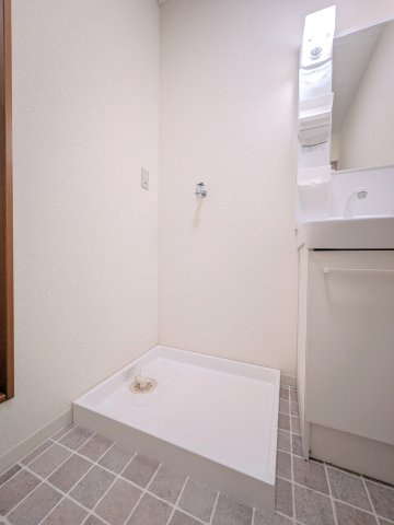 パルシャイン デルタのその他