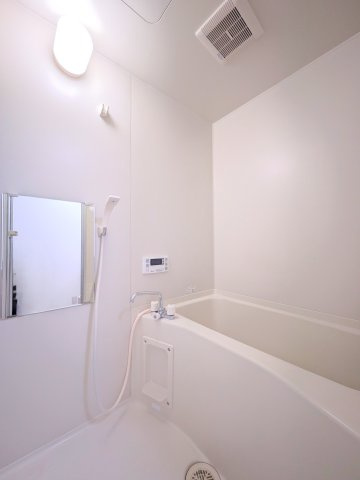 パルシャイン デルタの浴室