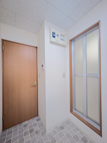 パルシャイン デルタのその他