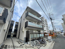 F asecia Citrineの画像