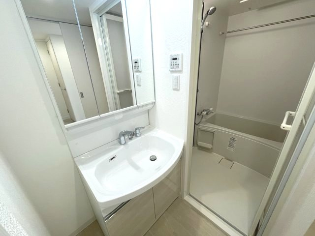 アドバンス上町台シュタットの独立洗面台
