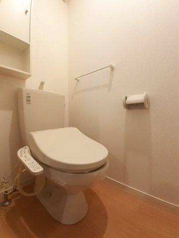 ドムス・ウィスタリアⅤのトイレ|落ち着いた色調のトイレです