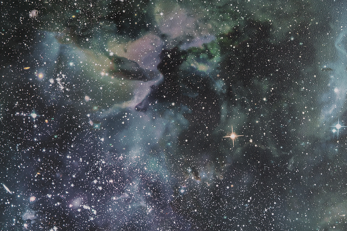 ガーデン花水木