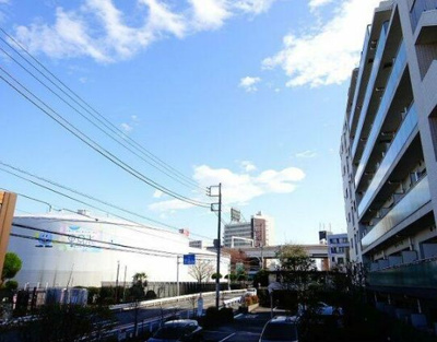 【展望】 | マメール